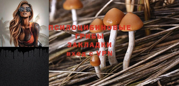 PSILOCYBIN Бородино