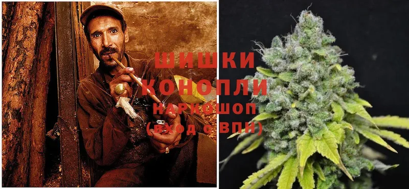 Бошки Шишки Bruce Banner  Злынка 